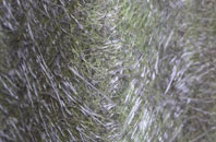 Milngavie fibreglass roof work